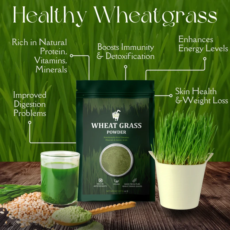 Wheatgrass_Powder_2000-2000_3.webp