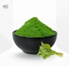 Freeze-Dried-Spinach-Powder-1.webp