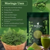 Moringa_Benefits.webp