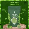 Spinach_Healthy_Green_Powder.webp
